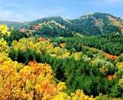 蒲县天气预报40天