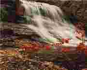 华亭天气预报30天