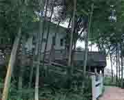 繁昌天气预报40天