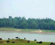 枞阳天气预报10天