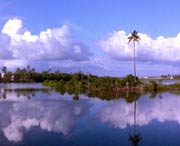 徐闻天气预报60天