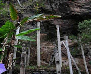 西盟天气预报30天