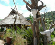 沧源天气预报7天